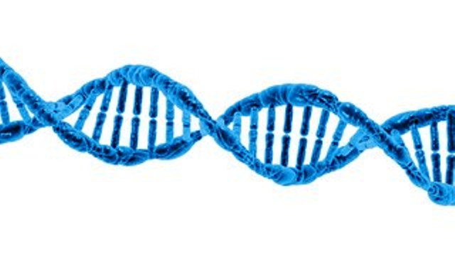 DNA, kromosom