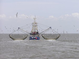 Kapal penangkap ikan. (Photo: Joachim Müllerchen)