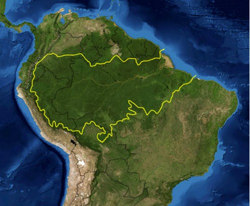 Peta hutan hujan Amazon. (Photo: NASA)
