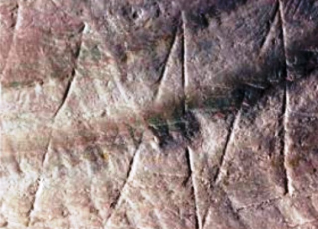 ukiran fosil kerang homo erectus