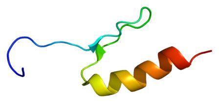 Structure protein SP4 protein berdasarkan PyMOL yang diterjemahkan oleh PDB 1va1. (Image: EMW)