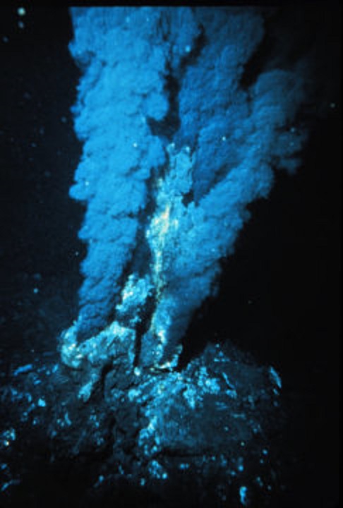 ventilasi hidrotermal