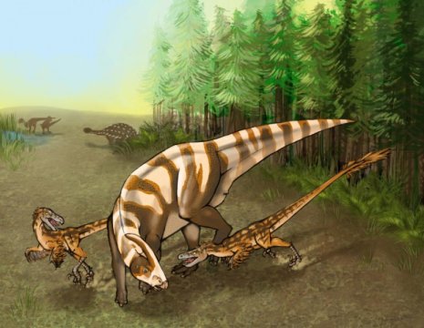 Saurornitholestes sullivani, velociraptor