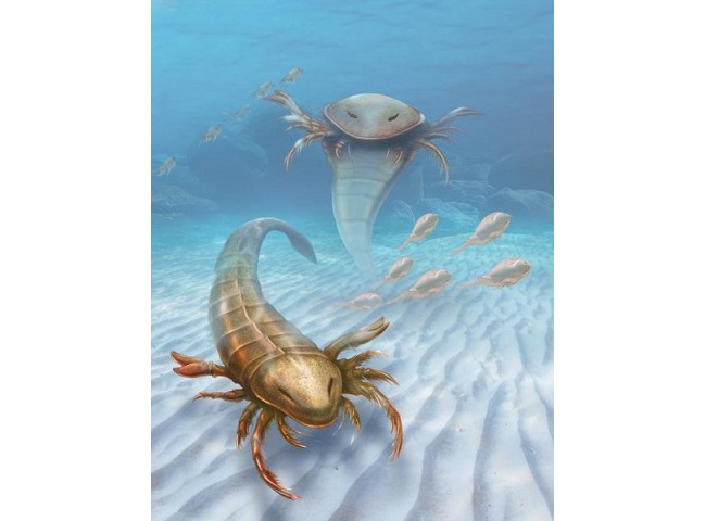 kalajengking laut, fosil