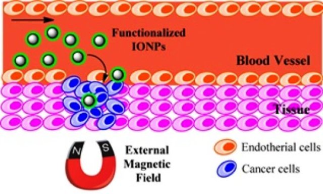 nanopartikel magnetik ,besi oksida, biomedis
