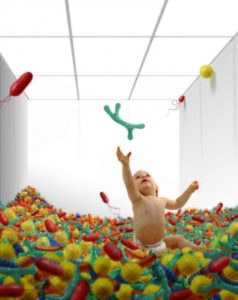 bayi, mikrobioma usus