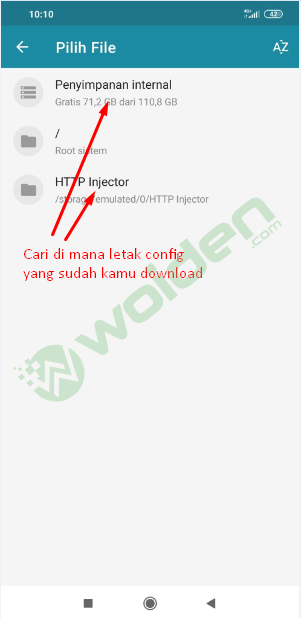import config http injector