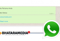 Cara Membuat Chat WhatsApp Jadi Baca Selengkapnya