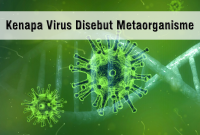 Kenapa Virus Disebut Metaorganisme